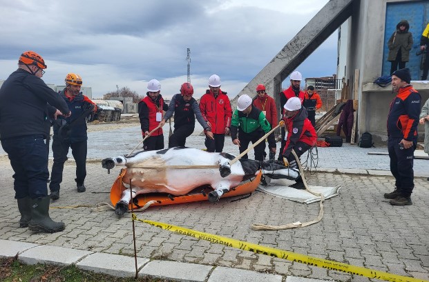 Afyon’da “RESQ-ANIMALS” Projesi İçin İspanya–Türkiye İş Birliği