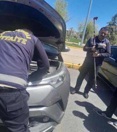 Afyon Kocatepe Üniversitesi Kampüsünde Kaputta Mahsur Kalan 2 Yavru Kedi Kurtarıldı - 2