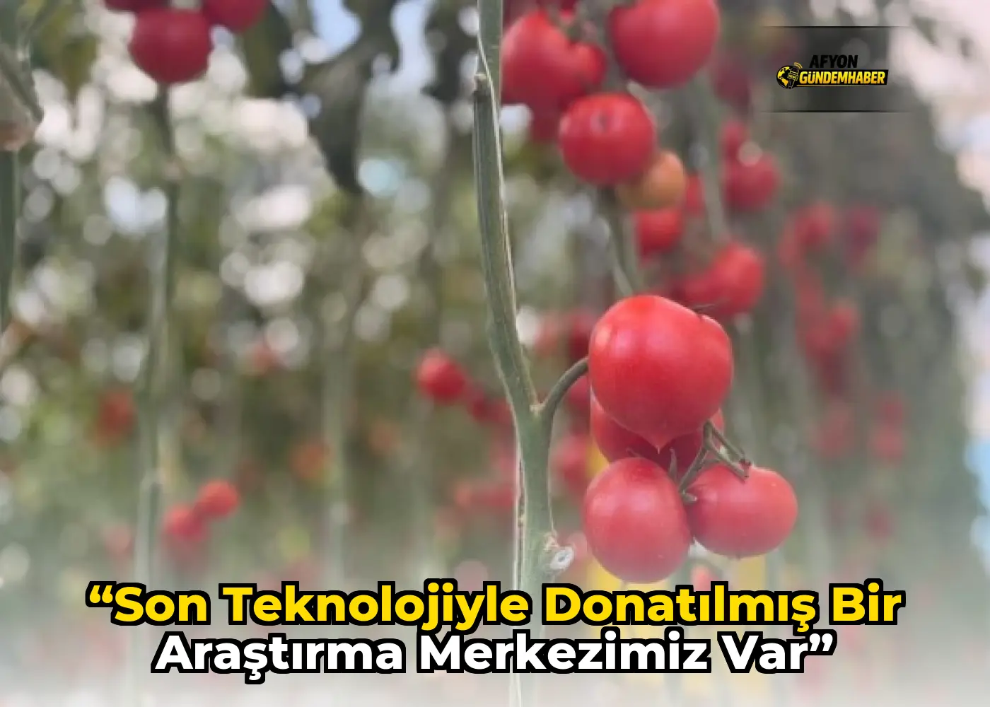 “Son Teknolojiyle Donatılmış Bir Araştırma Merkezimiz Var”